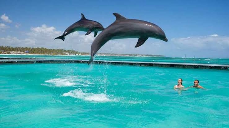 Ocean Adventures