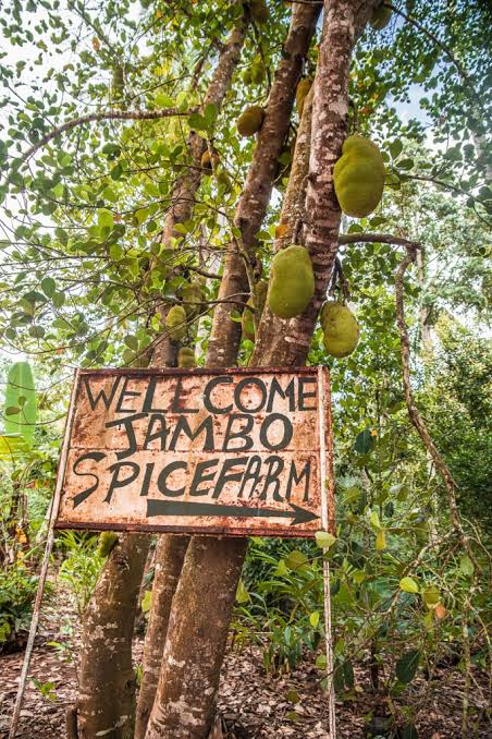 Nature & Cultural Tours